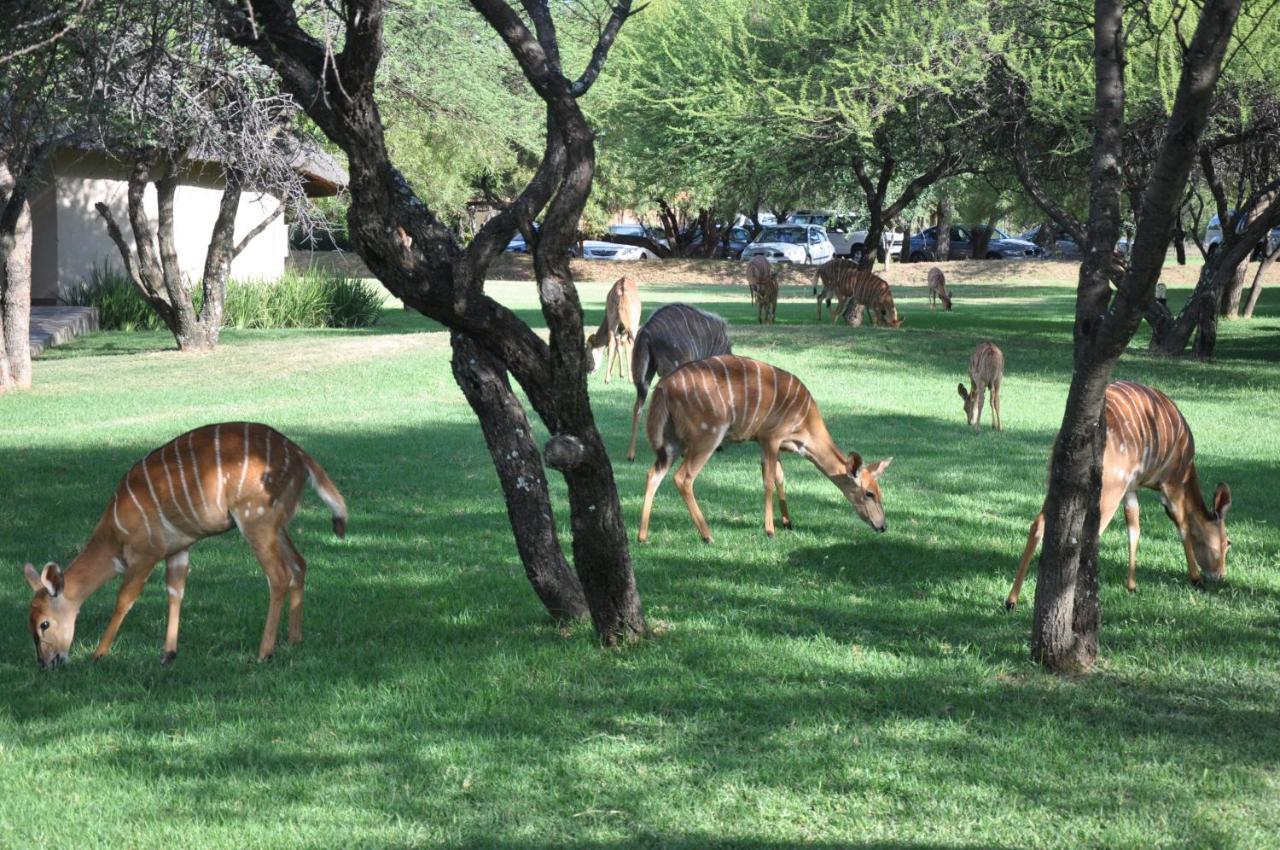 Mongena Private Game Lodge Rust de Winter Εξωτερικό φωτογραφία